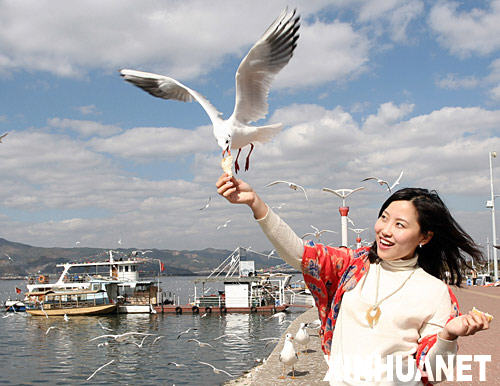 3����ֻ����Ÿ������Խ��[��ͼ]