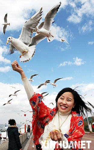 3����ֻ����Ÿ������Խ��[��ͼ]