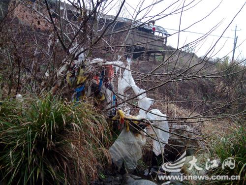 �������ϴ��¸ں�˭�����Ӱࡱ��