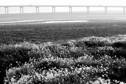 ��ȱ�������ˮ���й�������������ɱ