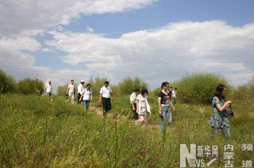 2007��8��11�գ����ɹŲ���ý��ļ�����λ�ڶ�����˹�о��ڵĿⲼ��ɳĮ������Ե�ιۡ�������9�����̬��������������300��Ķɳ�ر�Ϊ���ޡ���Ӱ/����ƽ