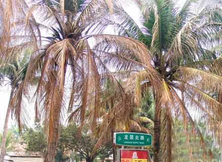 �ܵ�����������Ӱ�캣��Ҭ�����������(ͼ)