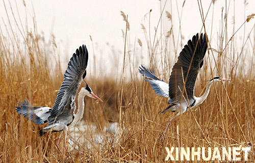 ����ʪ�ء���������ɷ���[��ͼ]