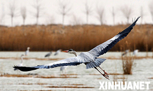 ����ʪ�ء���������ɷ���[��ͼ]