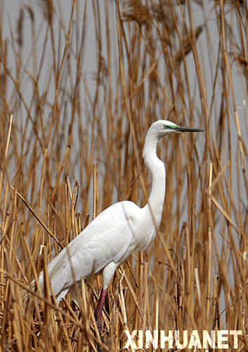 ����ʪ�ء���������ɷ���[��ͼ]