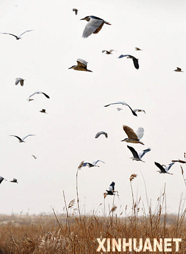 ����ʪ�ء���������ɷ���[��ͼ]