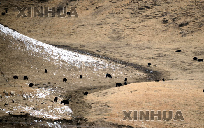 �й�������ʱ����ƺӡ���ˮ�ء�