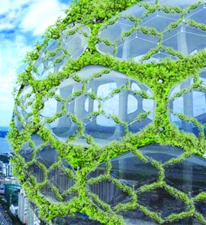 Ӧ���˿��ܶȹ������조Ħ��䳲�ǡ�