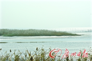 ʪ���ǳ�����Ӧ����Ⱦ����Ȼ���ϡ�