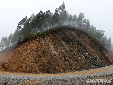 ����ʡ��ɫ�о�����������ֲ�������֣�2010��4��14�գ�Copyright Greenpeace/��������