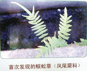 南京紫金山上野生哺乳动物减少过半(图)