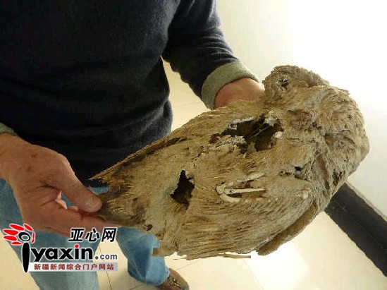 ��ѧ�һ���޲�����������ͼ �������ڳ�����