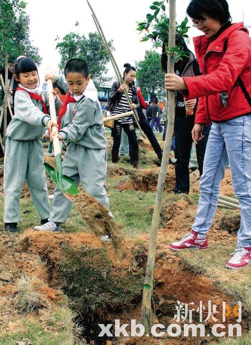 �ҹ���33��ֲ���� ־Ը����ɳ����ǧ����(ͼ)