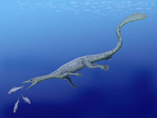 thalattosaur��ԭͼ