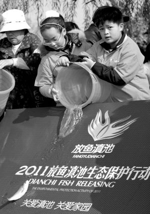�������ַ����硣�������޻���
