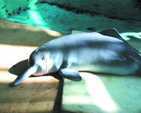 �����ࣨ����ͼƬ��