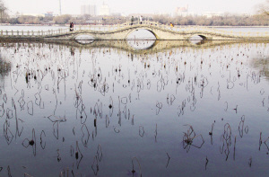 为防污雨水浸染大明湖济南污管道将改道绕路