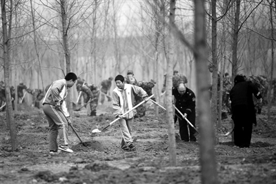 ���գ�ͨ����̨����ʯ�壬��ѧ�������������� �������� Ѧ�B ��