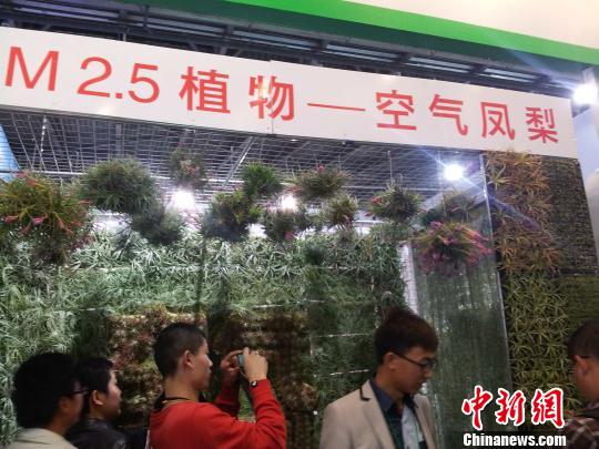 第十五届中国国际花卉园艺展览会开幕(图)