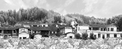 ����Ϊȫ������ũҵ����������ʾ������Ϻ��ع�����������ũ�ҡ�