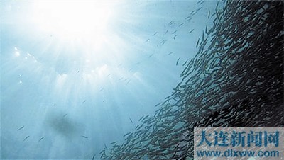 �����ů������������������Ǩ��