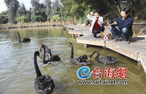 ����������ս�Թ滮����ȷ�����ո�����̬����