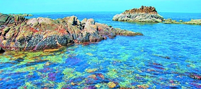 海南:生态立省 成为“大景区” 海南:生态立省 成为“大景区”