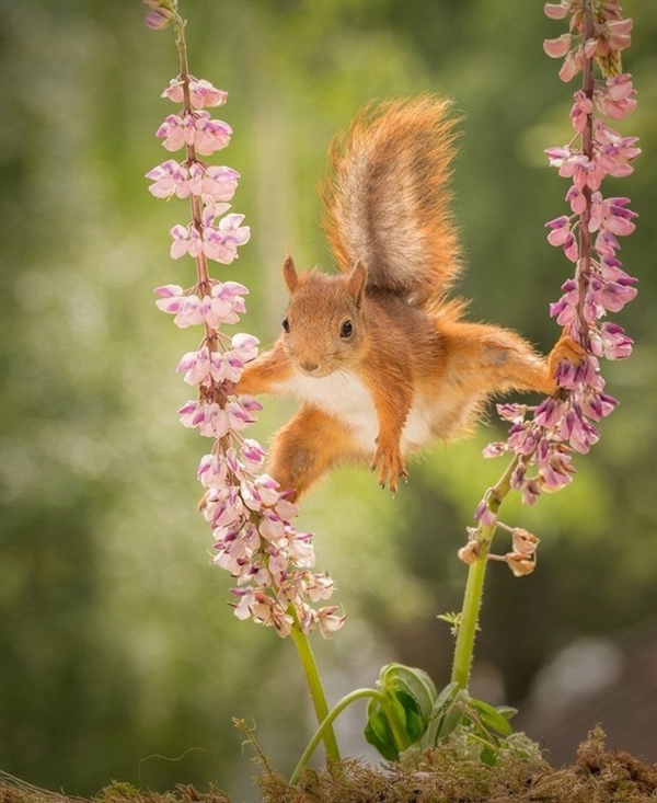 Ϊ��Ҳ��ƴ�ˣ��������ꡰһ��������ʳ