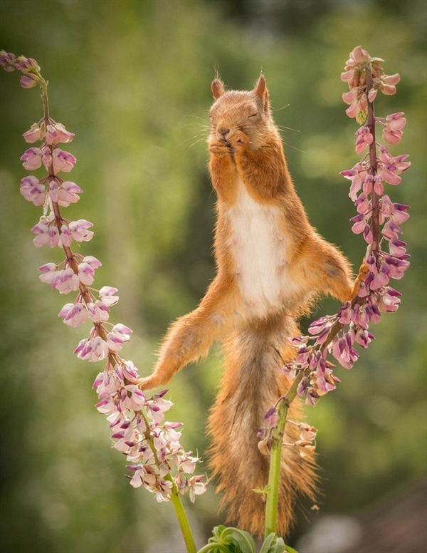 Ϊ��Ҳ��ƴ�ˣ��������ꡰһ��������ʳ