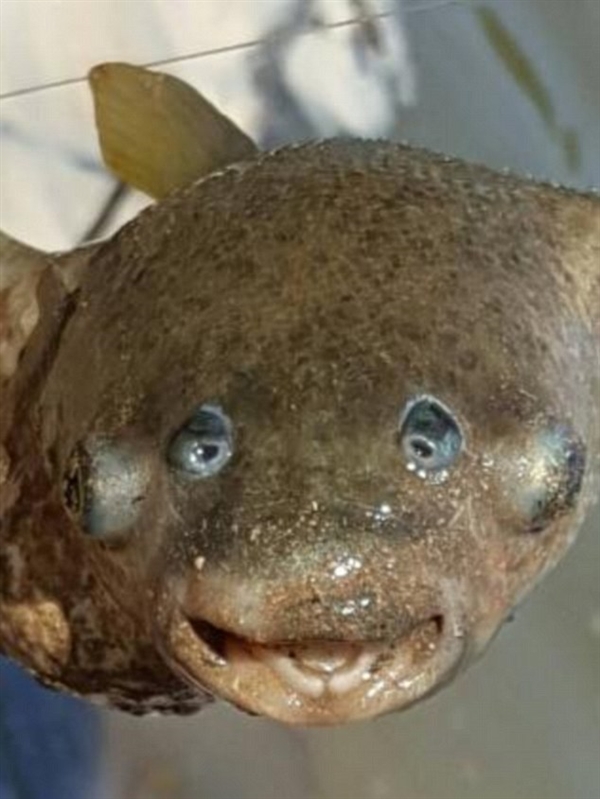 �ľ�������������������ѧ�ҿ�����һ����Ȧ