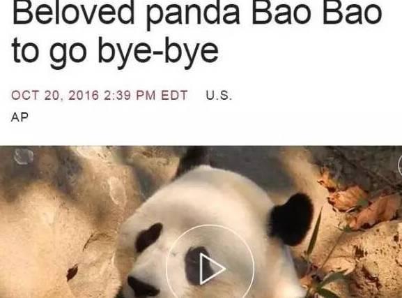 ��������è����˫��̥����Ҫ�ع� ���ѹ��ĵ�ȴ��...