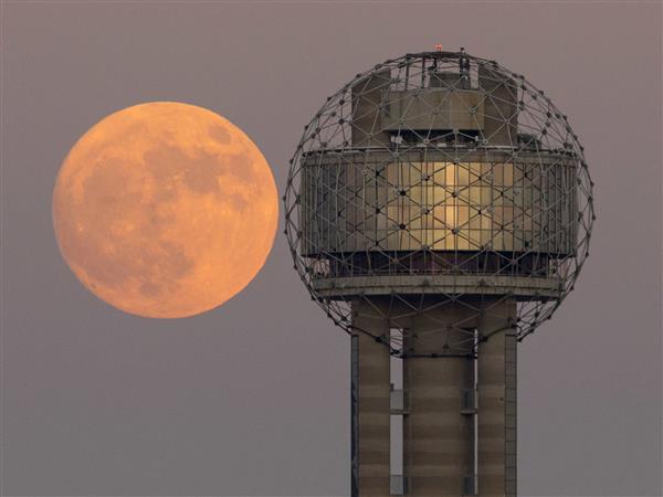 68年最大!世界各地的“超级月亮”:简直美呆了