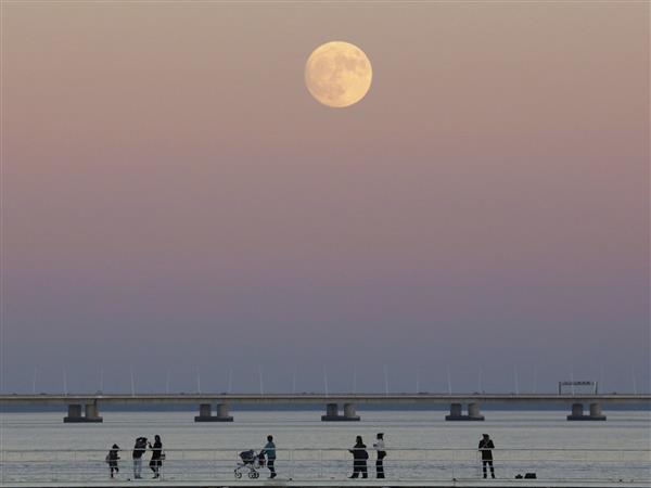 68年最大!世界各地的“超级月亮”:简直美呆了