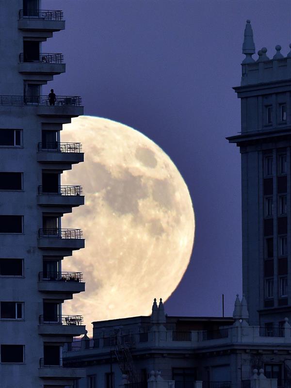 68年最大!世界各地的“超级月亮”:简直美呆了