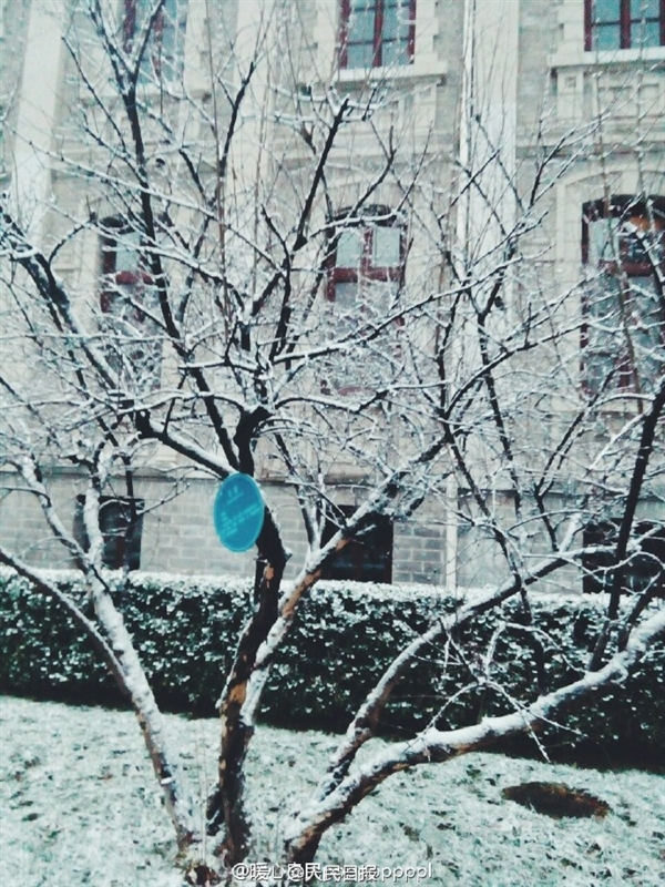 ������ѩ��Լ���� ���ѿ���ɹͼģʽ