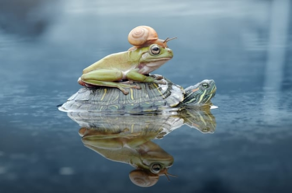 ů�ģ�������ţ�����������ڹ�ǡ���㳵��