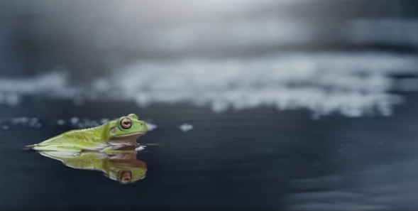 ů�ģ�������ţ�����������ڹ�ǡ���㳵��