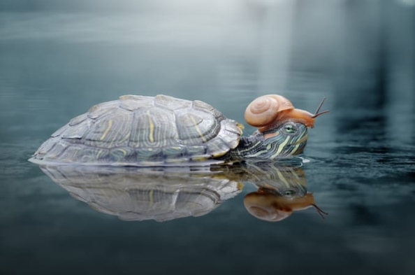 ů�ģ�������ţ�����������ڹ�ǡ���㳵��