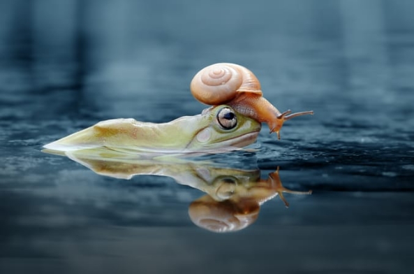 ů�ģ�������ţ�����������ڹ�ǡ���㳵��