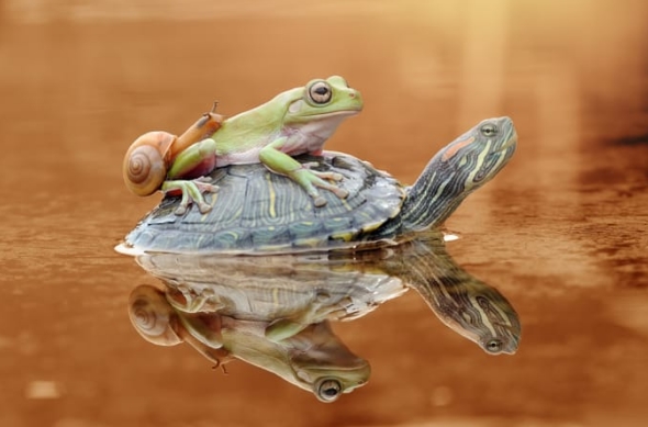 ů�ģ�������ţ�����������ڹ�ǡ���㳵��