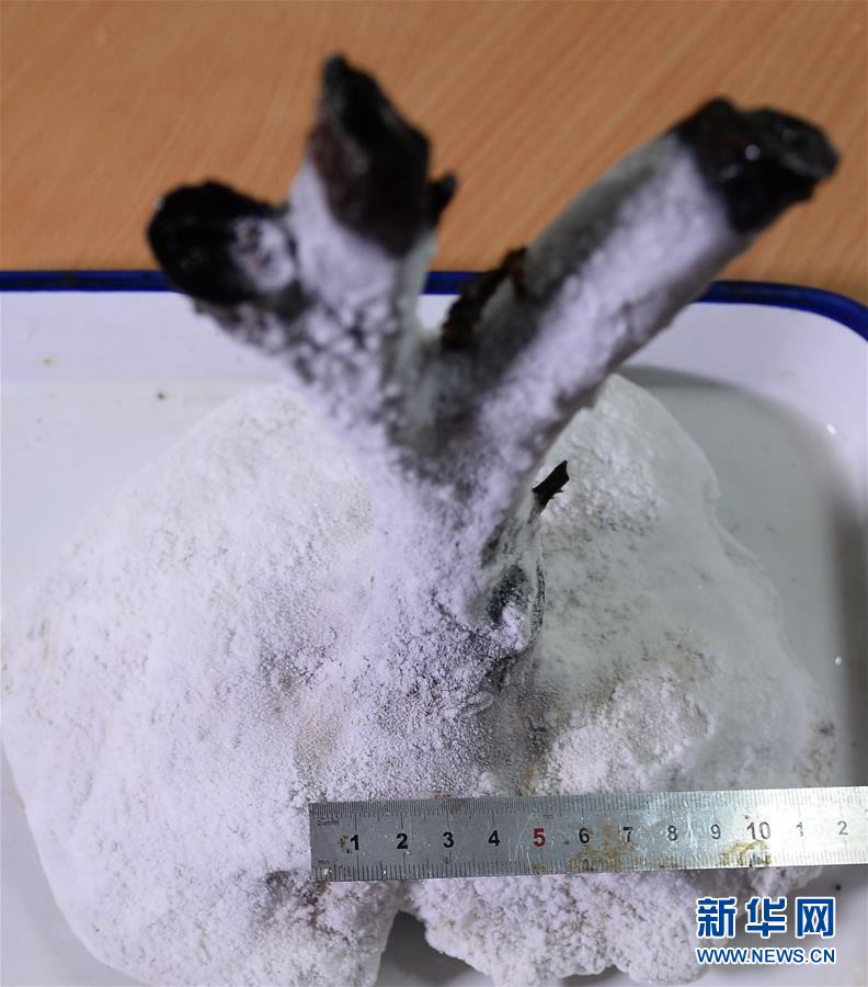 ���»�ȫýͷ����ͼ�Ļ�������6�������桱���������������񽳡��D�D�����й��Դ������̽Ѱ