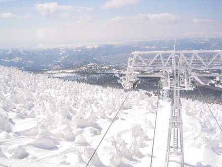 春节出境游 四条首推线路