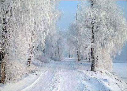 雾凇世界滑雪天堂 雾凇世界滑雪天堂