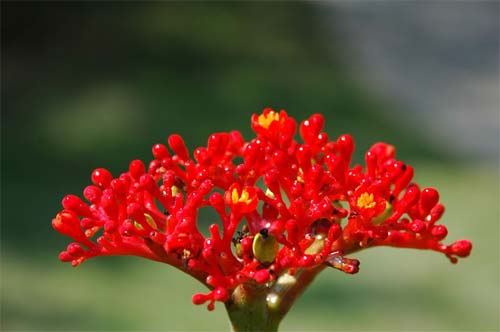 成都-泸沽湖:春节五日自驾游 走进仙境 成都-泸沽湖:春节五日自驾游 走进仙境