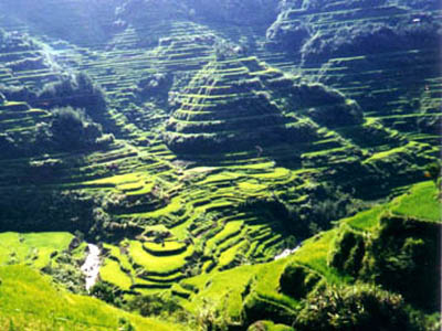 �����ϡ�����������ʮ���漣