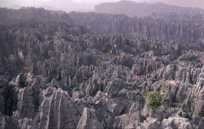 �����ϡ�����������ʮ���漣