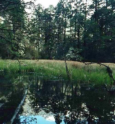 �Լݳ����й����10��������Դ(��ͼ)