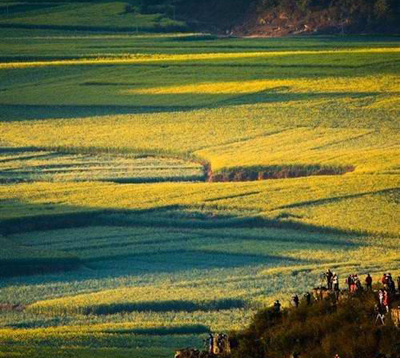 �Լݳ����й����10��������Դ(��ͼ)