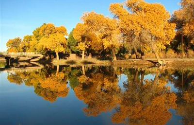 �Լݳ����й����10��������Դ(��ͼ)