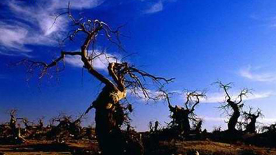 �Լݳ����й����10��������Դ(��ͼ)